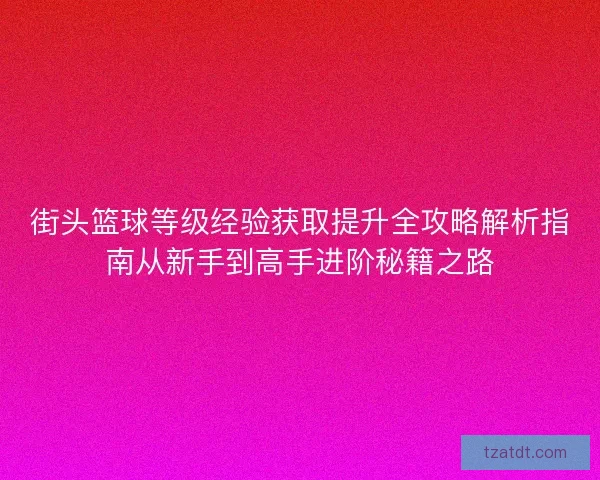 街头篮球等级经验获取提升全攻略解析指南从新手到高手进阶秘籍之路