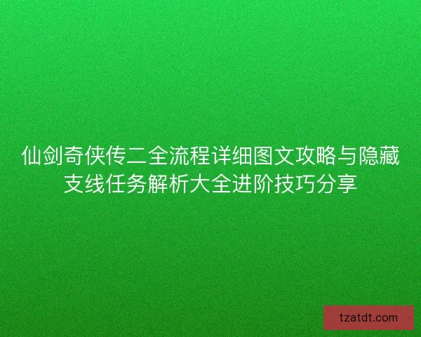 仙剑奇侠传二全流程详细图文攻略与隐藏支线任务解析大全进阶技巧分享
